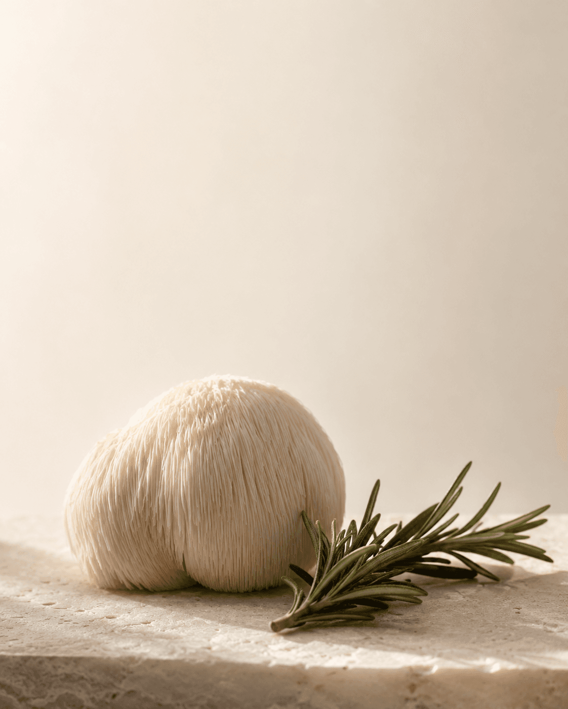 Focus